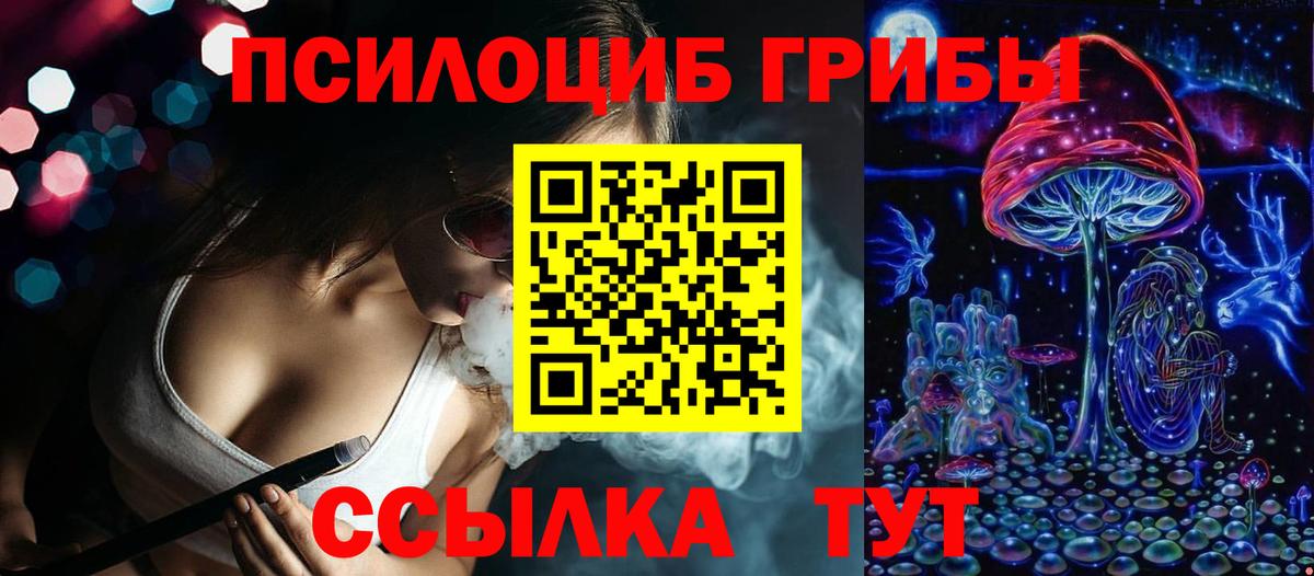 Псилоцибиновые грибы мицелий  Вход с VPN  Магадан 
