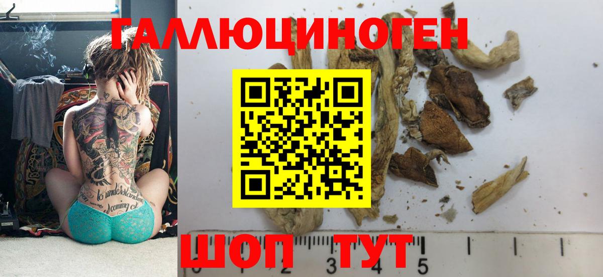 Галлюциногенные грибы ЛСД Магадан